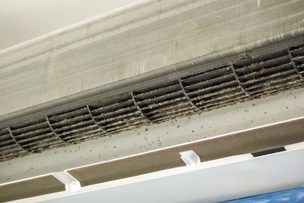 Best Commercial Air Duct Cleaning  in Richton, MS