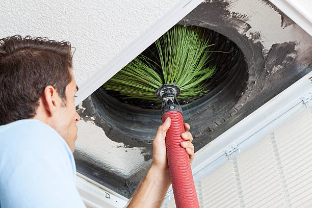Best Professional Duct Cleaning Services  in Richton, MS